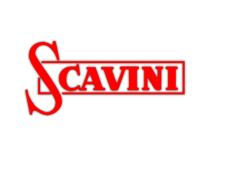 Scavini